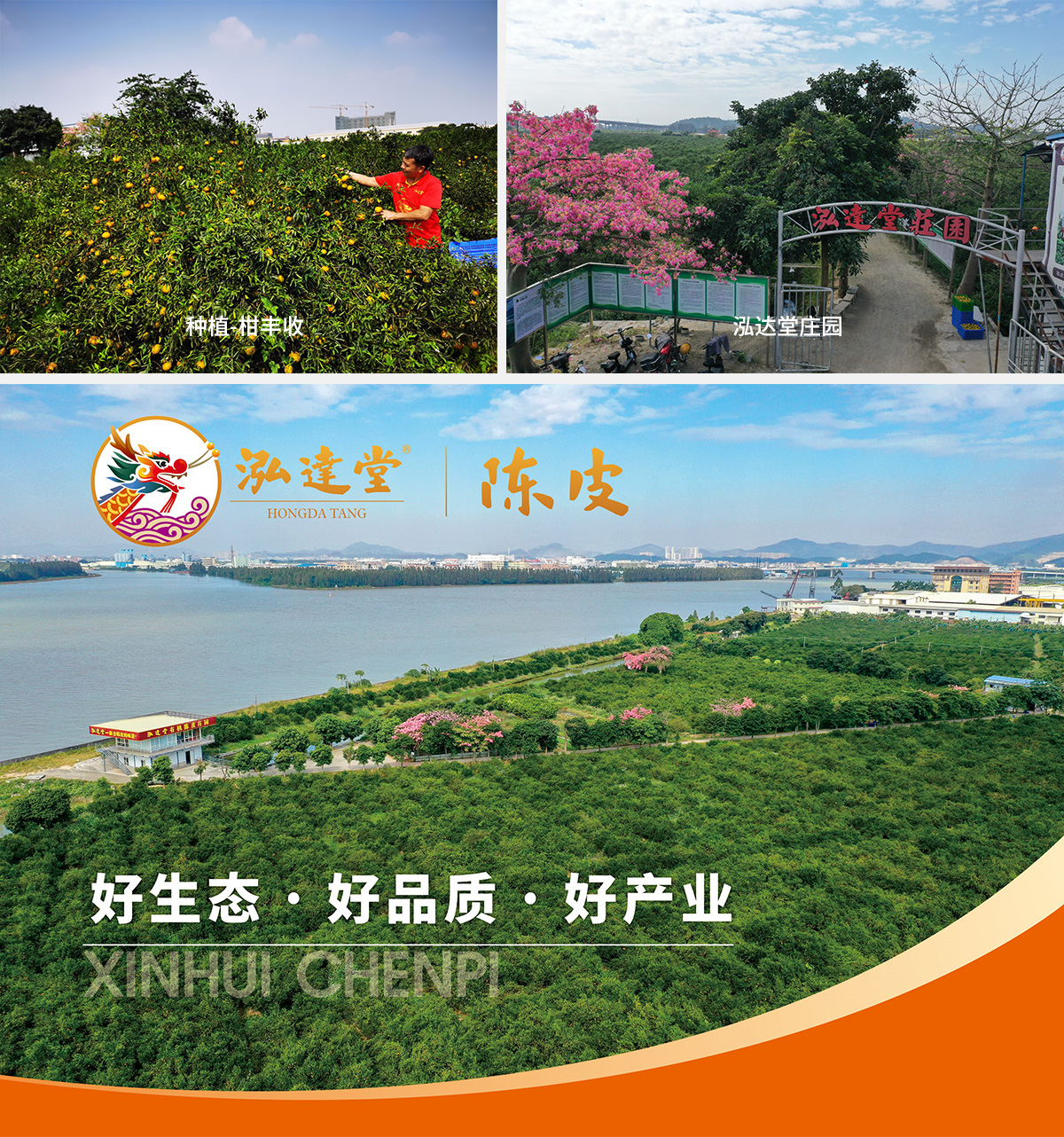 泓达堂陈皮茶业有限公司